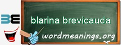 WordMeaning blackboard for blarina brevicauda